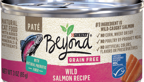 Purina Beyond Grain Free Wild Salmon Recipe Paté